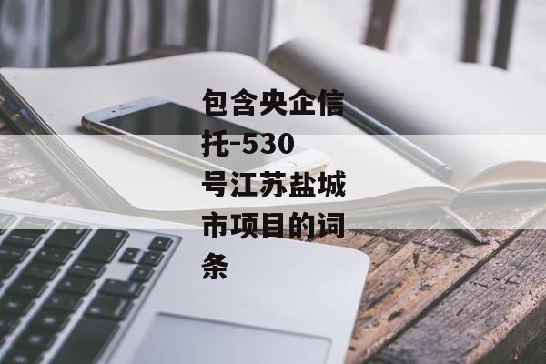 包含央企信托-530号江苏盐城市项目的词条