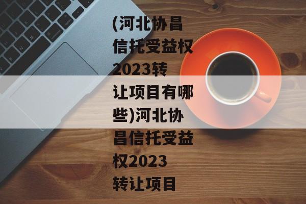 (河北协昌信托受益权2023转让项目有哪些)河北协昌信托受益权2023转让项目-第1张图片-信托定融返点网