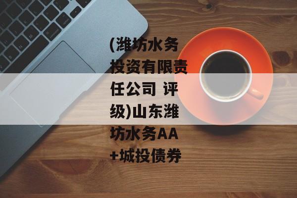 (潍坊水务投资有限责任公司 评级)山东潍坊水务AA+城投债券