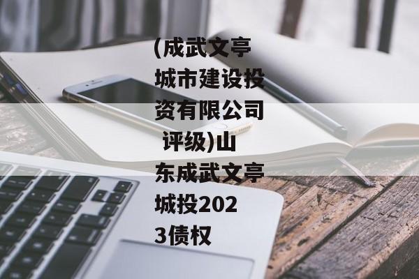 (成武文亭城市建设投资有限公司 评级)山东成武文亭城投2023债权-第1张图片-信托定融返点网