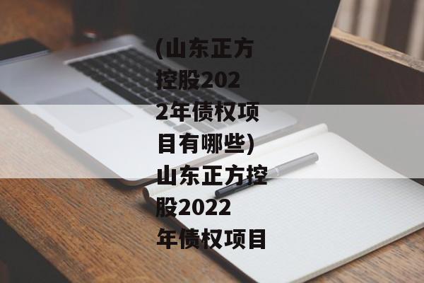 (山东正方控股2022年债权项目有哪些)山东正方控股2022年债权项目-第1张图片-信托定融返点网