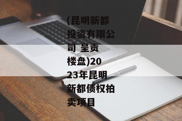 (昆明新都投资有限公司 呈贡 楼盘)2023年昆明新都债权拍卖项目-第1张图片-信托定融返点网