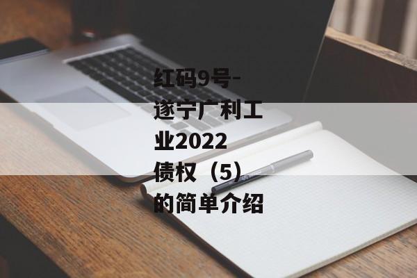 红码9号-遂宁广利工业2022债权（5）的简单介绍-第1张图片-信托定融返点网