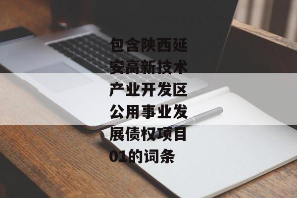 包含陕西延安高新技术产业开发区公用事业发展债权项目01的词条