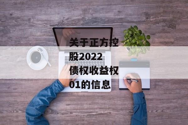 关于正方控股2022债权收益权01的信息