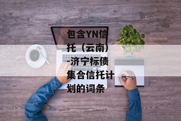 包含YN信托（云南）-济宁标债集合信托计划的词条