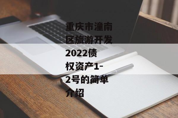 重庆市潼南区旅游开发2022债权资产1-2号的简单介绍