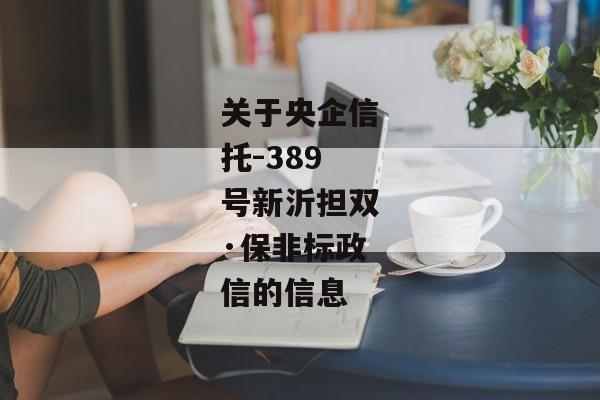 关于央企信托-389号新沂担双·保非标政信的信息