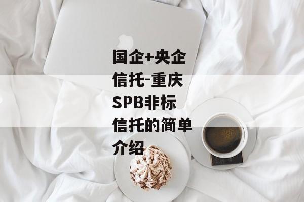 国企+央企信托-重庆SPB非标信托的简单介绍