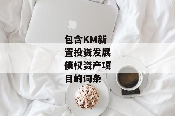 包含KM新置投资发展债权资产项目的词条