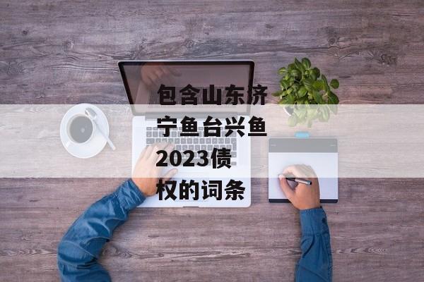 包含山东济宁鱼台兴鱼2023债权的词条-第1张图片-信托定融返点网