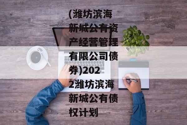 (潍坊滨海新城公有资产经营管理有限公司债券)2022潍坊滨海新城公有债权计划-第1张图片-信托定融返点网