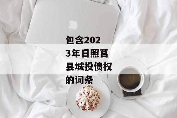 包含2023年日照莒县城投债权的词条