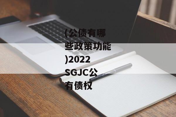 (公债有哪些政策功能)2022SGJC公有债权