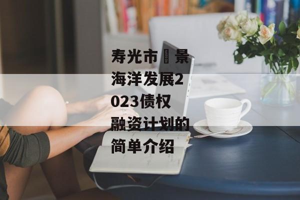 寿光市昇景海洋发展2023债权融资计划的简单介绍