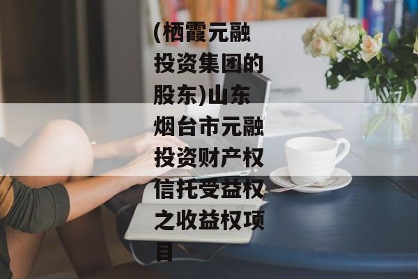 (栖霞元融投资集团的股东)山东烟台市元融投资财产权信托受益权之收益权项目