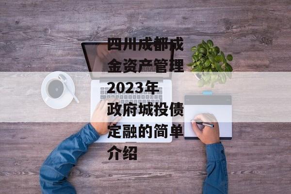 四川成都成金资产管理2023年政府城投债定融的简单介绍