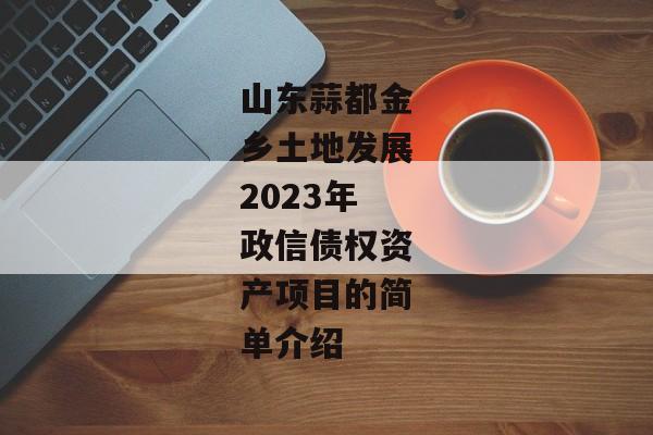 山东蒜都金乡土地发展2023年政信债权资产项目的简单介绍-第1张图片-信托定融返点网