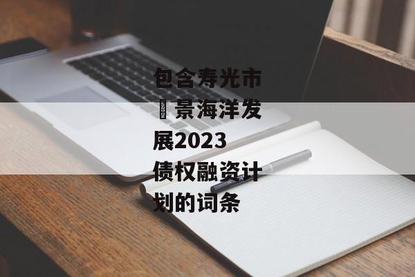 包含寿光市昇景海洋发展2023债权融资计划的词条