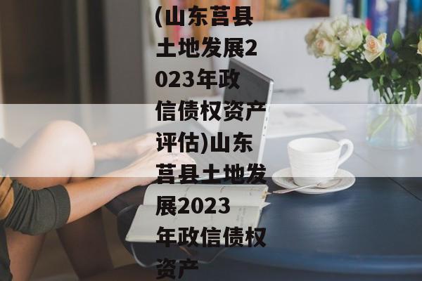 (山东莒县土地发展2023年政信债权资产评估)山东莒县土地发展2023年政信债权资产