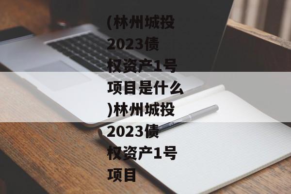 (林州城投2023债权资产1号项目是什么)林州城投2023债权资产1号项目-第1张图片-信托定融返点网