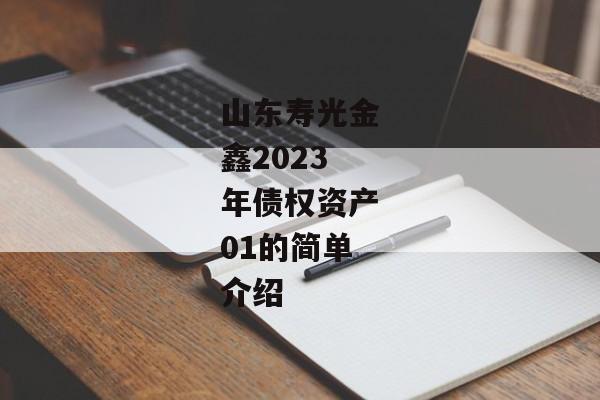 山东寿光金鑫2023年债权资产01的简单介绍