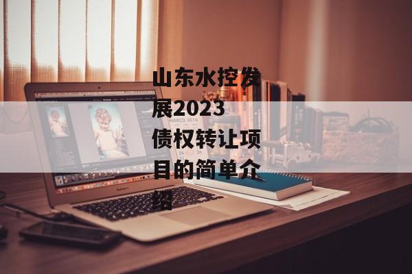 山东水控发展2023债权转让项目的简单介绍