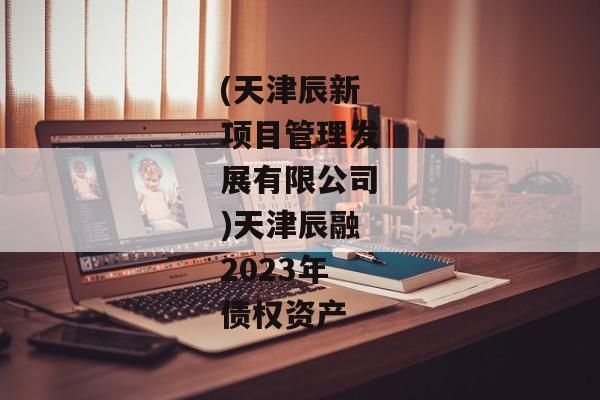 (天津辰新项目管理发展有限公司)天津辰融2023年债权资产