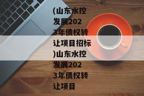 (山东水控发展2023年债权转让项目招标)山东水控发展2023年债权转让项目-第1张图片-信托定融返点网