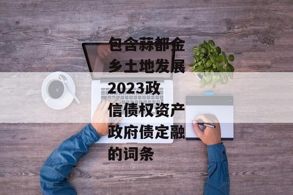 包含蒜都金乡土地发展2023政信债权资产政府债定融的词条