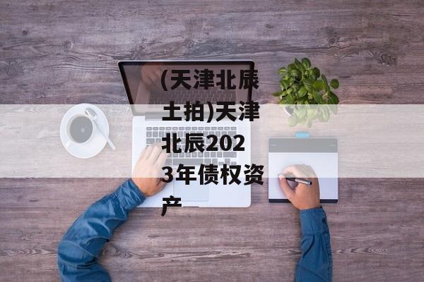 (天津北辰土拍)天津北辰2023年债权资产