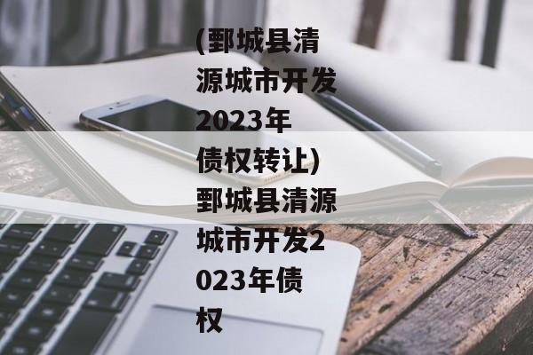 (鄄城县清源城市开发2023年债权转让)鄄城县清源城市开发2023年债权-第1张图片-信托定融返点网