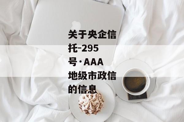 关于央企信托-295号·AAA地级市政信的信息