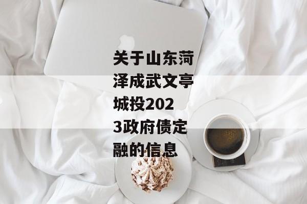 关于山东菏泽成武文亭城投2023政府债定融的信息