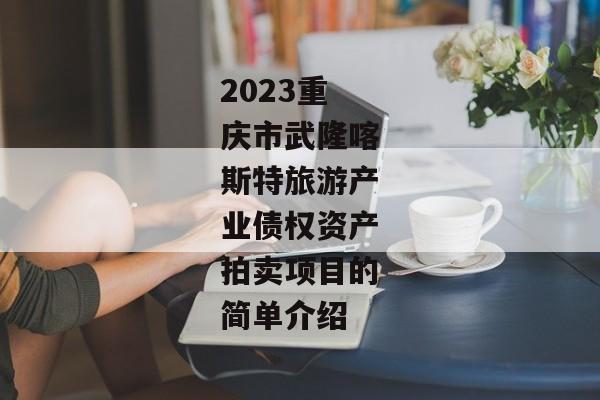 2023重庆市武隆喀斯特旅游产业债权资产拍卖项目的简单介绍