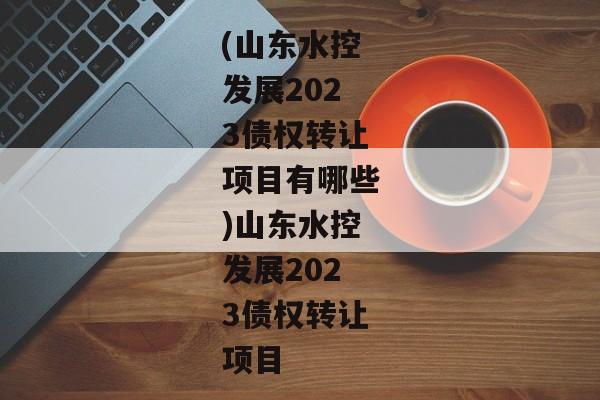 (山东水控发展2023债权转让项目有哪些)山东水控发展2023债权转让项目-第1张图片-信托定融返点网