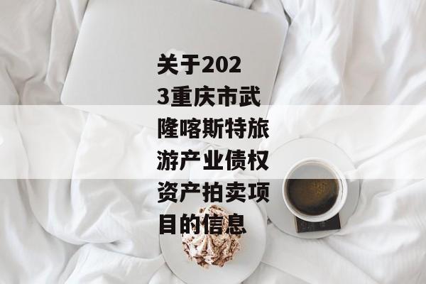 关于2023重庆市武隆喀斯特旅游产业债权资产拍卖项目的信息-第1张图片-信托定融返点网