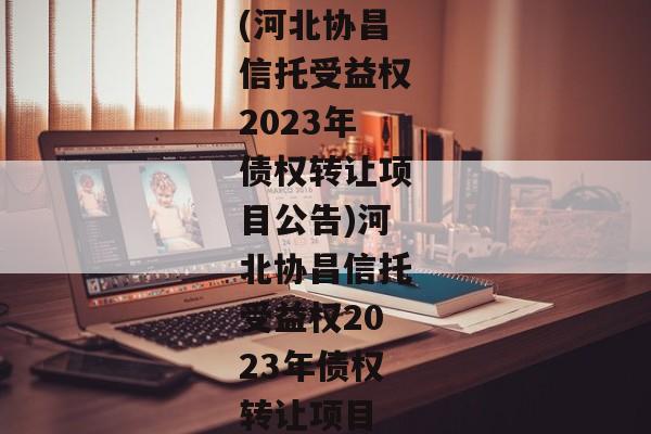 (河北协昌信托受益权2023年债权转让项目公告)河北协昌信托受益权2023年债权转让项目