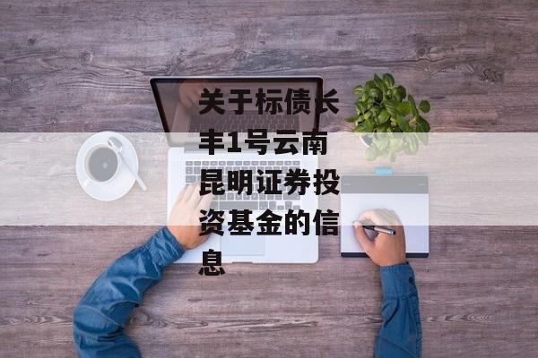 关于标债长丰1号云南昆明证券投资基金的信息