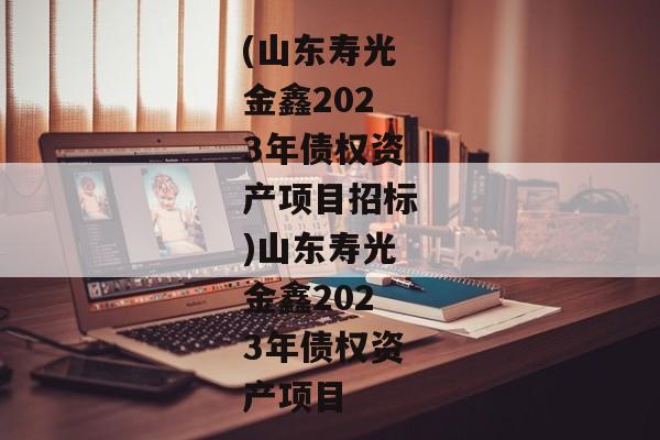 (山东寿光金鑫2023年债权资产项目招标)山东寿光金鑫2023年债权资产项目-第1张图片-信托定融返点网