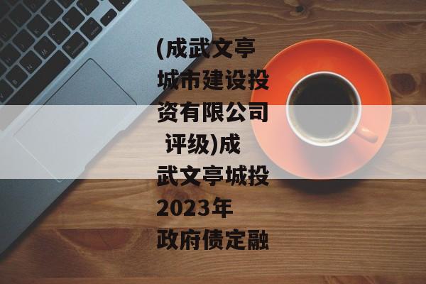 (成武文亭城市建设投资有限公司 评级)成武文亭城投2023年政府债定融-第1张图片-信托定融返点网