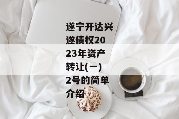 遂宁开达兴遂债权2023年资产转让(一)2号的简单介绍