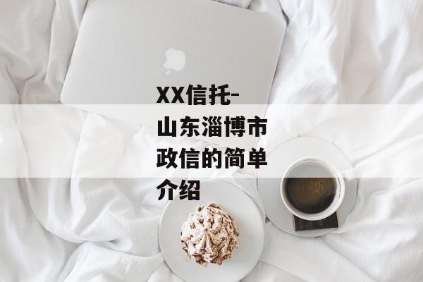 XX信托-山东淄博市政信的简单介绍