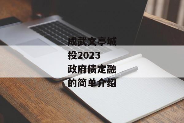 成武文亭城投2023政府债定融的简单介绍-第1张图片-信托定融返点网