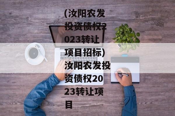 (汝阳农发投资债权2023转让项目招标)汝阳农发投资债权2023转让项目