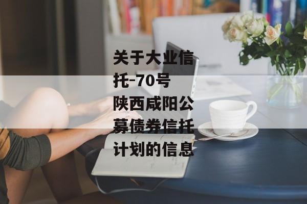 关于大业信托-70号陕西咸阳公募债券信托计划的信息