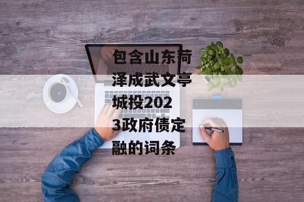 包含山东菏泽成武文亭城投2023政府债定融的词条-第1张图片-信托定融返点网