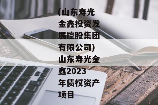 (山东寿光金鑫投资发展控股集团有限公司)山东寿光金鑫2023年债权资产项目