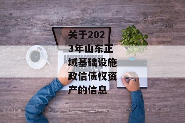 关于2023年山东正域基础设施政信债权资产的信息