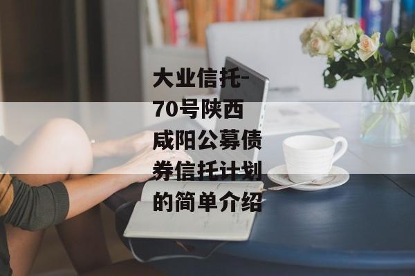 大业信托-70号陕西咸阳公募债券信托计划的简单介绍-第1张图片-信托定融返点网